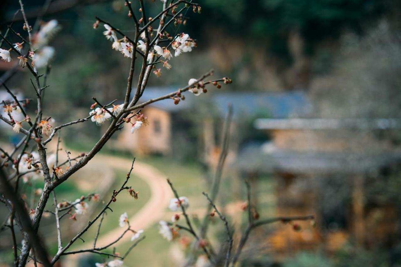 House By Lake Moc Chau Exteriér fotografie